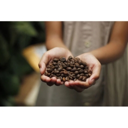 Kawa mielona Davidoff Rich Aroma 250g - miniatura 4