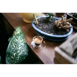 Szklaneczka termiczna do espresso ze spodkiem FilterLogic CFL-657 5+1 (6 szt.) - miniatura 4