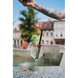 Ekologiczne czarne słomki szklane proste Vialli Design VITA 20cm (6szt.) + szczoteczka do czyszczenia 26599 - miniatura 3